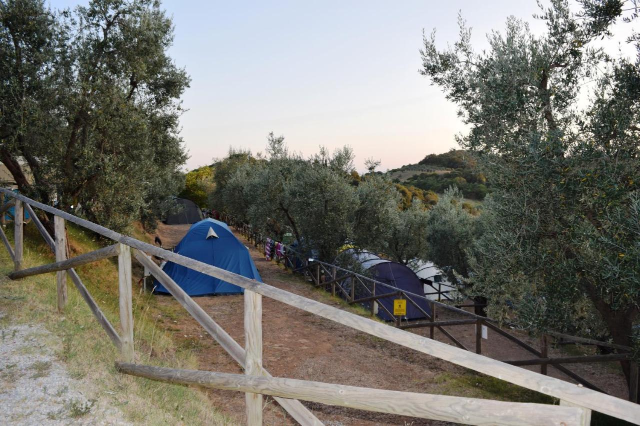 Blucamp Natural Village Campiglia Marittima Zewnętrze zdjęcie