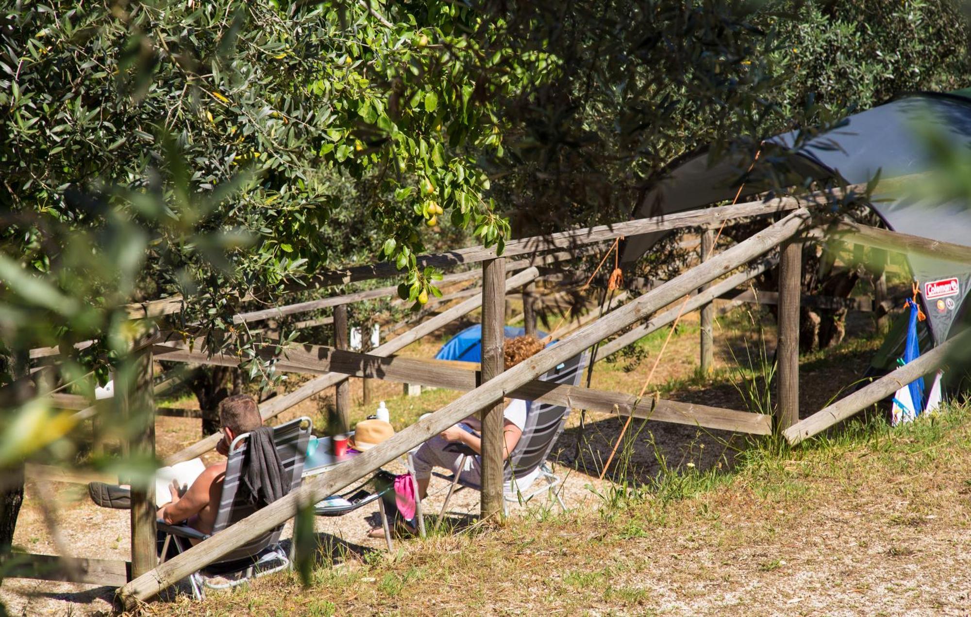Blucamp Natural Village Campiglia Marittima Zewnętrze zdjęcie