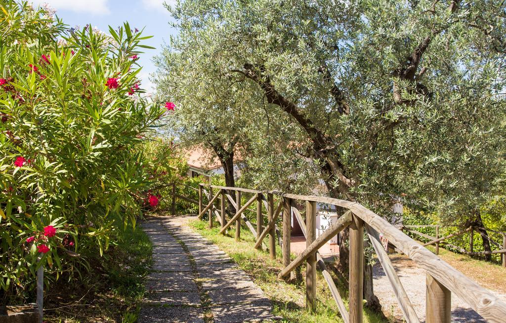 Blucamp Natural Village Campiglia Marittima Zewnętrze zdjęcie